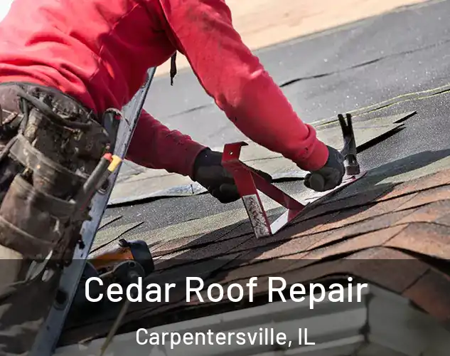  Cedar Roof Repair Carpentersville, IL