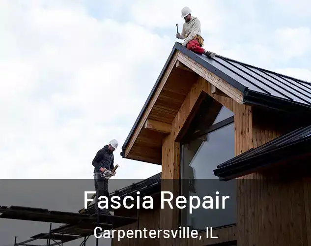  Fascia Repair Carpentersville, IL