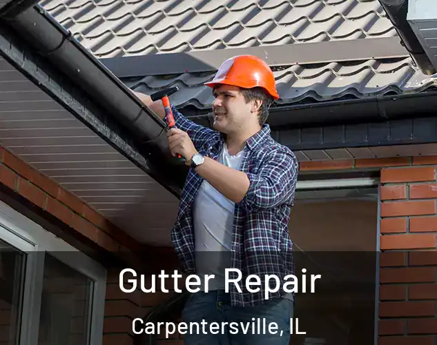  Gutter Repair Carpentersville, IL