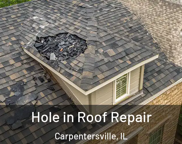  Hole in Roof Repair Carpentersville, IL