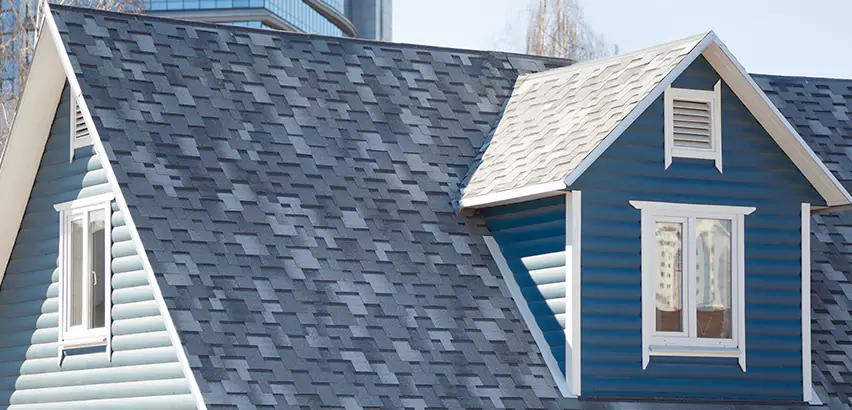 Shingle Roof Maintenance in Carpentersville