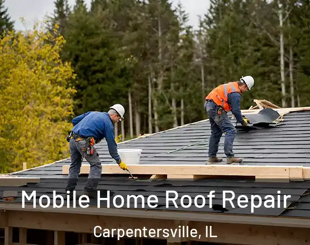  Mobile Home Roof Repair Carpentersville, IL