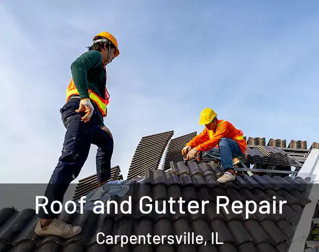  Roof and Gutter Repair Carpentersville, IL