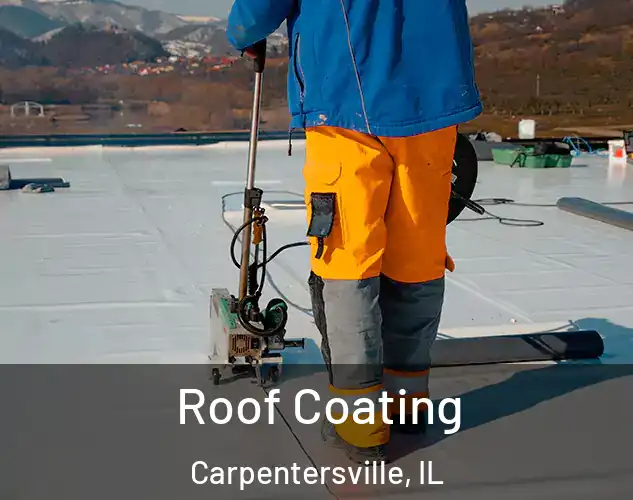 Roof Coating Carpentersville, IL