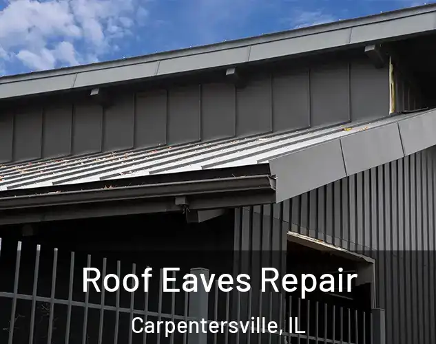  Roof Eaves Repair Carpentersville, IL