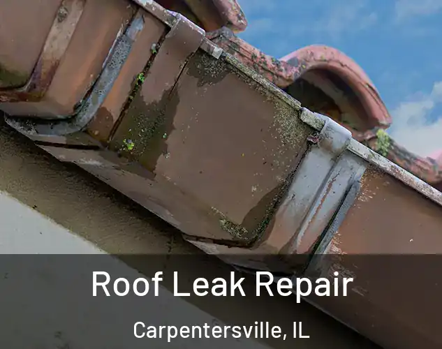  Roof Leak Repair Carpentersville, IL