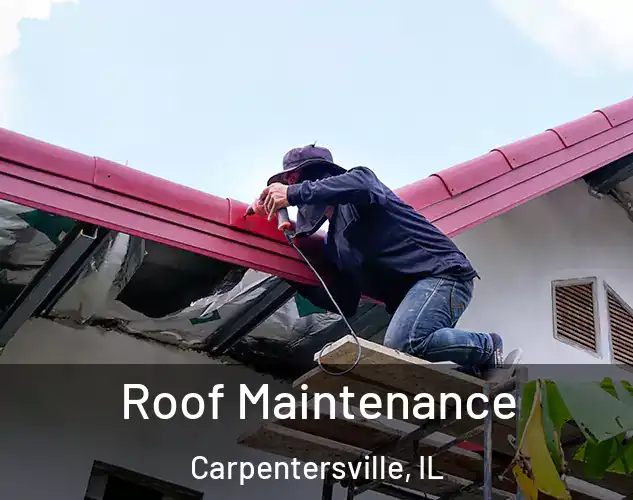  Roof Maintenance Carpentersville, IL
