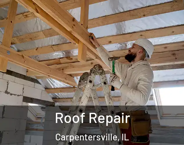  Roof Repair Carpentersville, IL