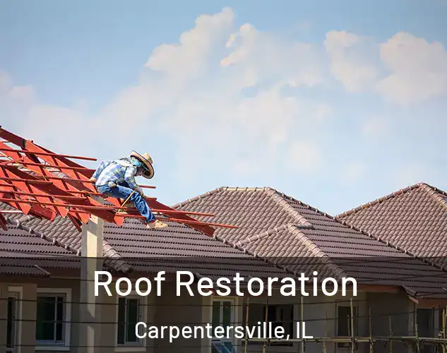  Roof Restoration Carpentersville, IL