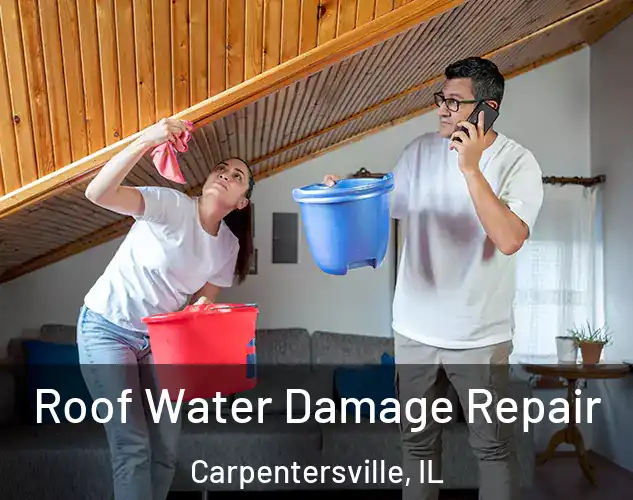  Roof Water Damage Repair Carpentersville, IL