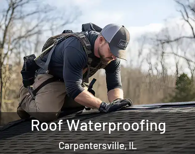  Roof Waterproofing Carpentersville, IL