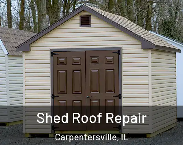  Shed Roof Repair Carpentersville, IL