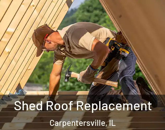  Shed Roof Replacement Carpentersville, IL