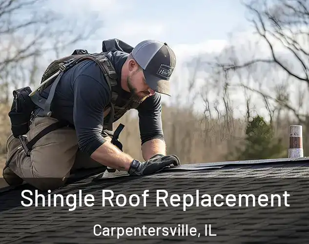  Shingle Roof Replacement Carpentersville, IL