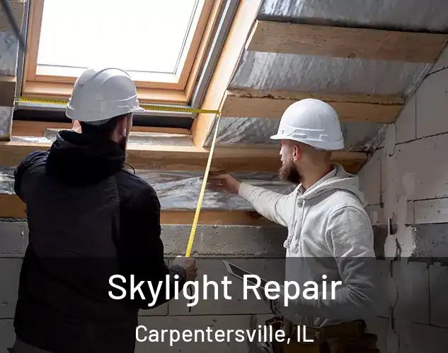  Skylight Repair Carpentersville, IL