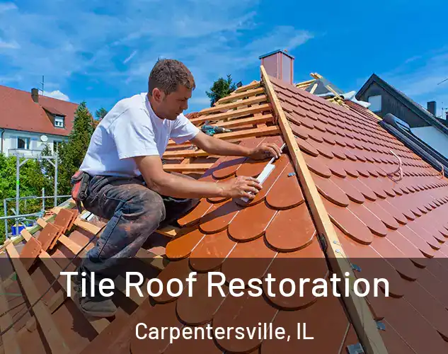  Tile Roof Restoration Carpentersville, IL