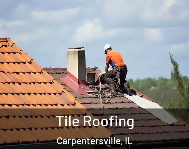  Tile Roofing Carpentersville, IL